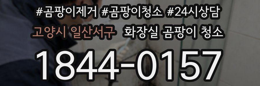 고양시 일산서구 화장실 곰팡이 청소