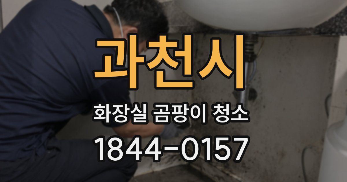과천시 화장실 곰팡이 청소