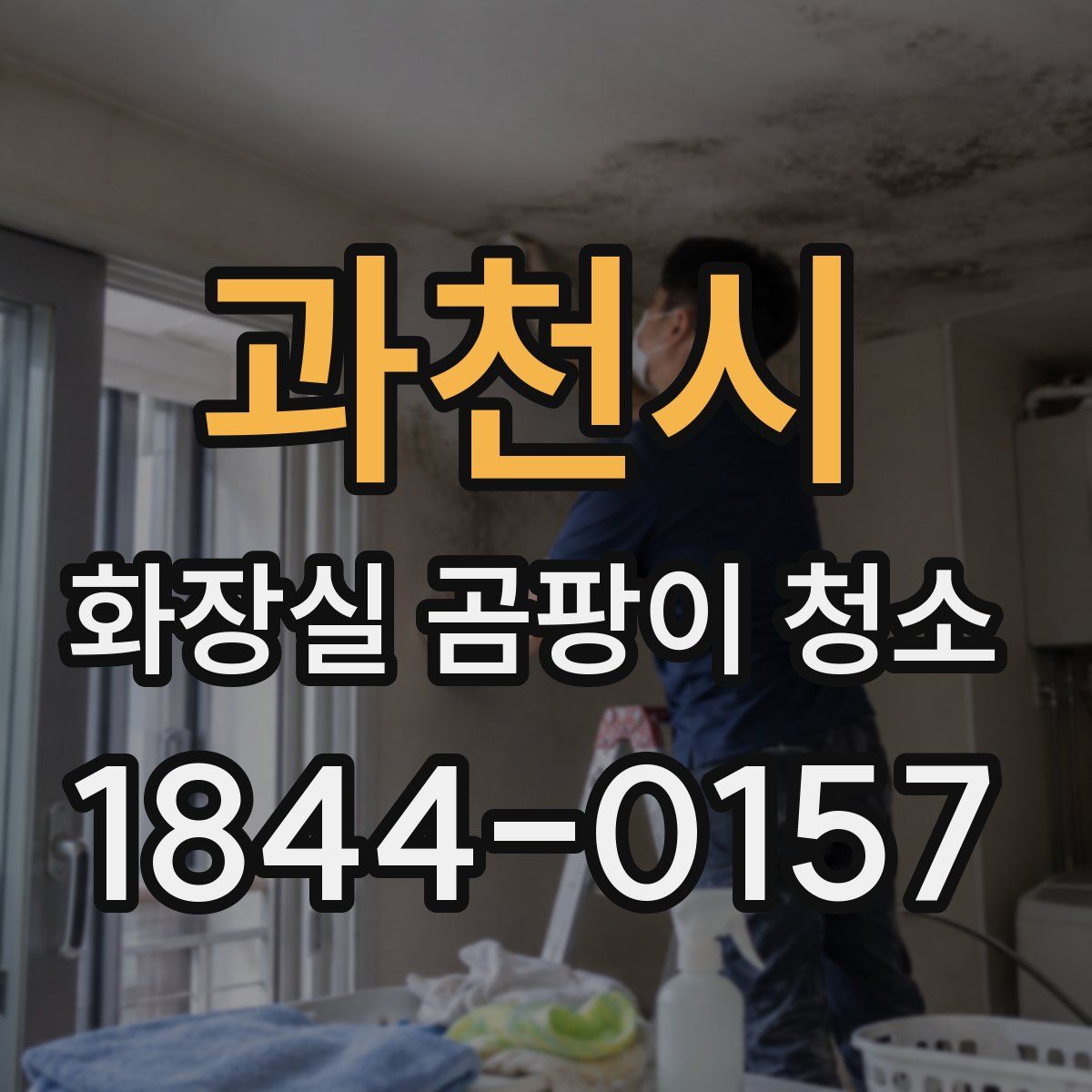 과천시 화장실 곰팡이 청소
