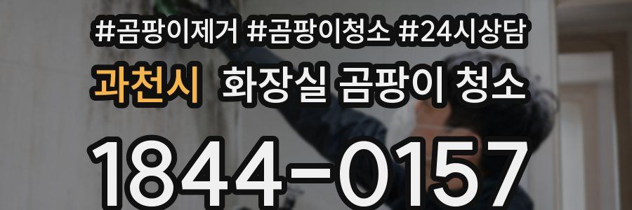 과천시 화장실 곰팡이 청소