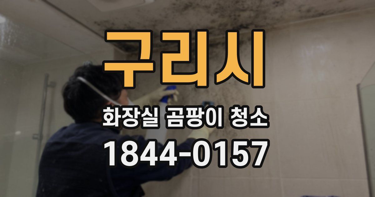구리시 화장실 곰팡이 청소