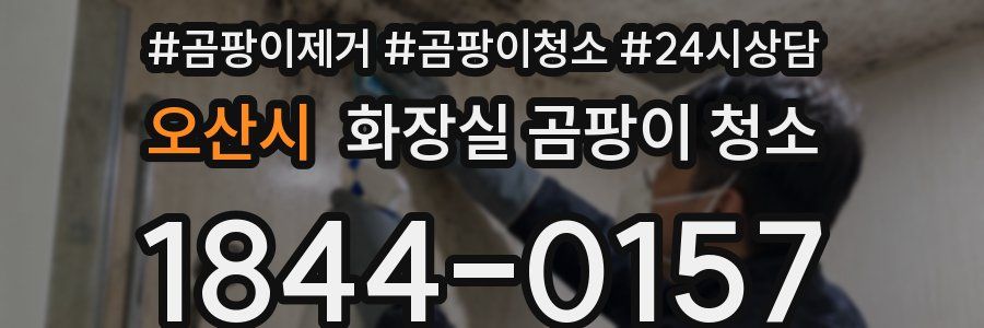 오산시 화장실 곰팡이 청소