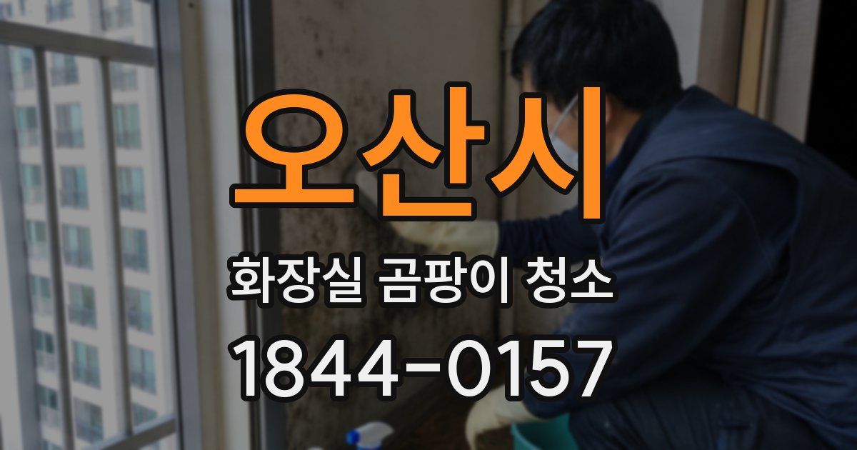 오산시 화장실 곰팡이 청소