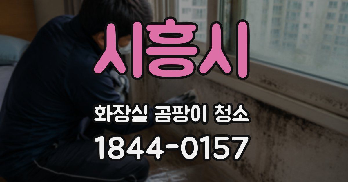 시흥시 화장실 곰팡이 청소