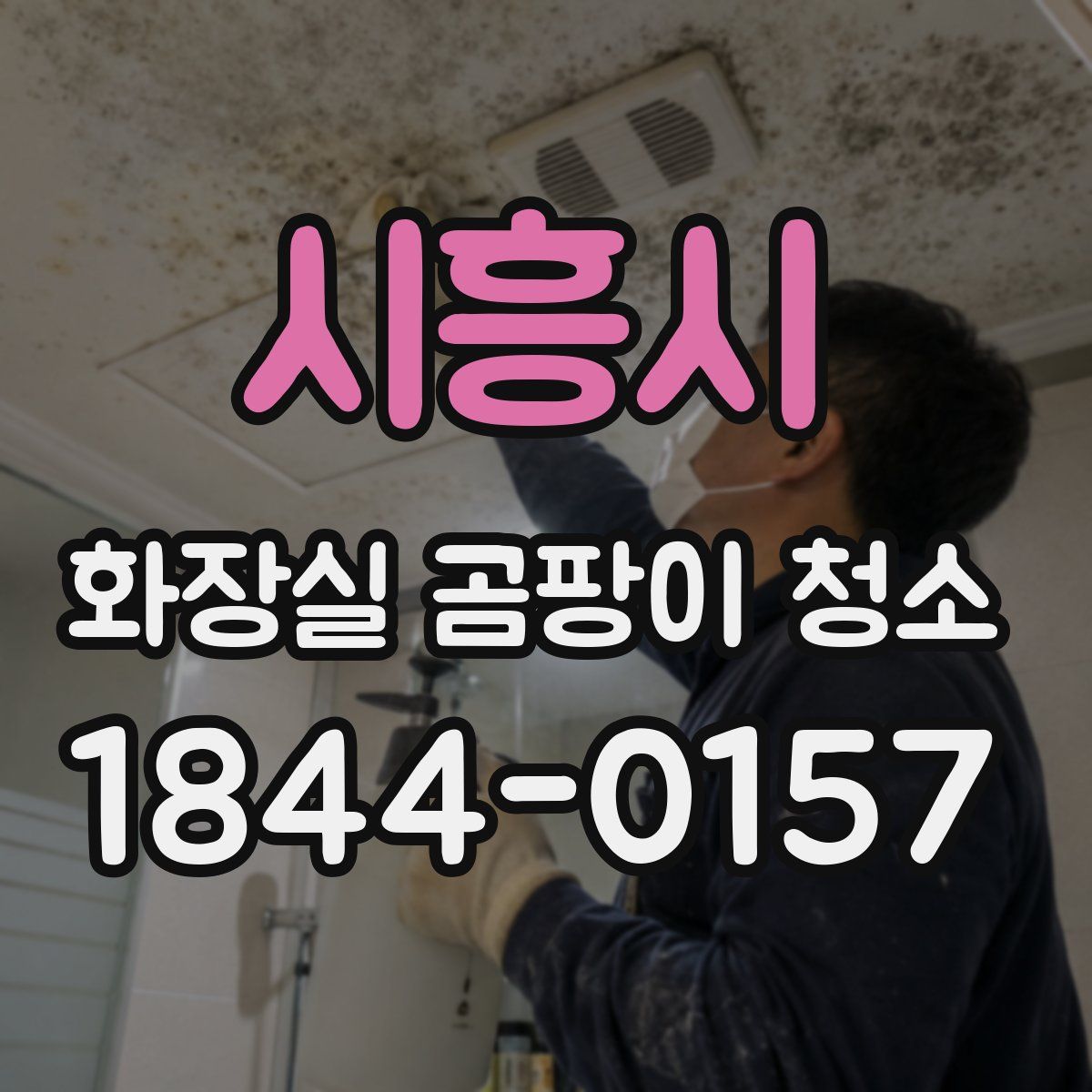 시흥시 화장실 곰팡이 청소