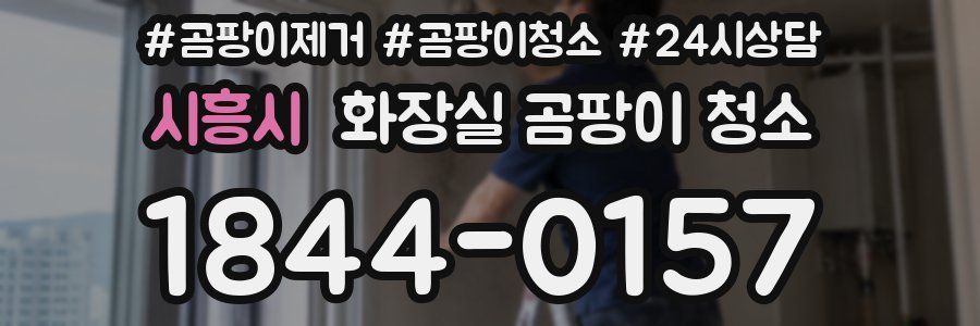 시흥시 화장실 곰팡이 청소