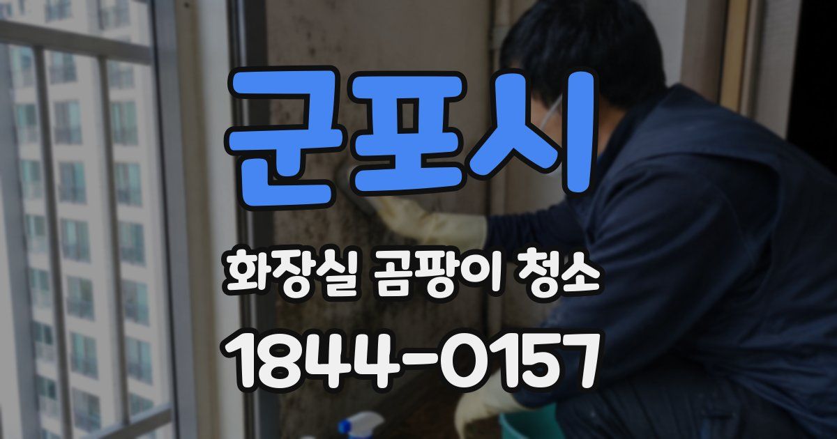 군포시 화장실 곰팡이 청소