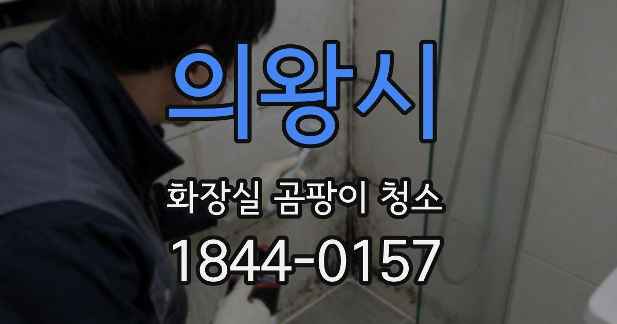 의왕시 화장실 곰팡이 청소