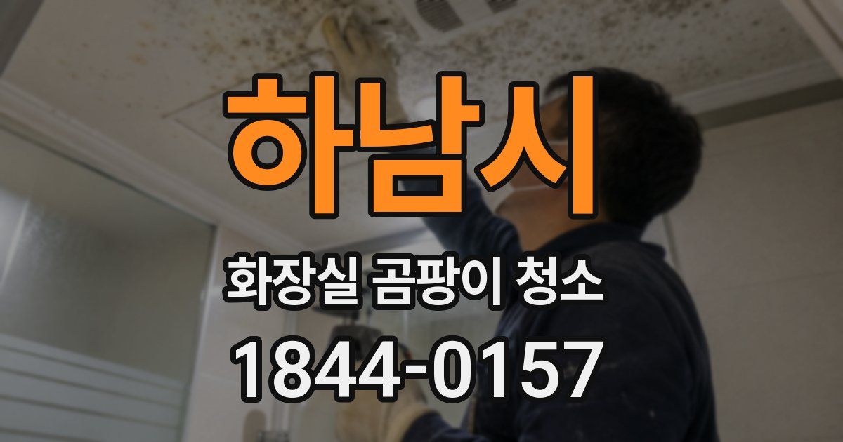하남시 화장실 곰팡이 청소
