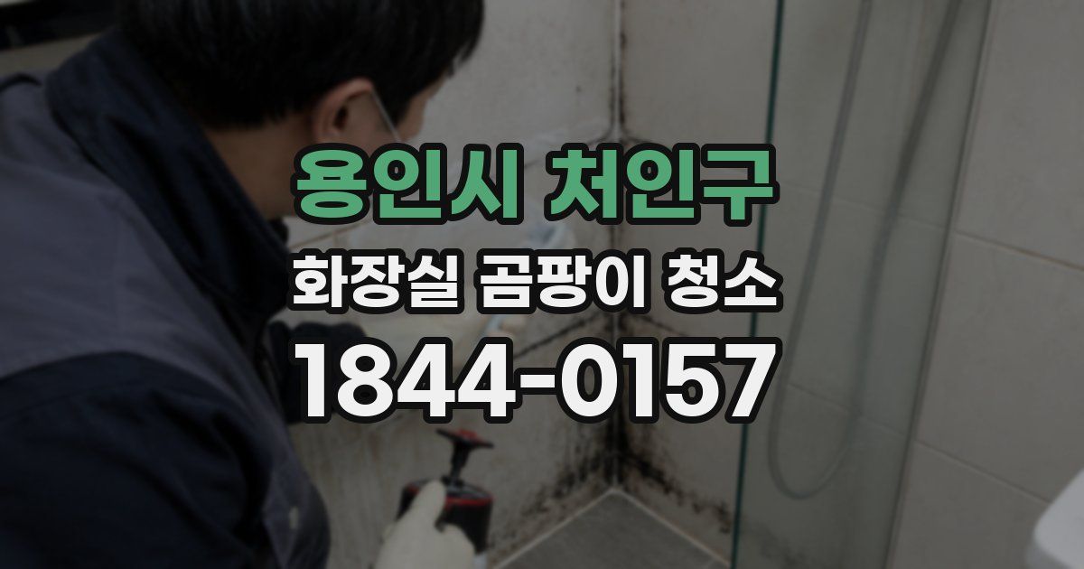 용인시 처인구 화장실 곰팡이 청소
