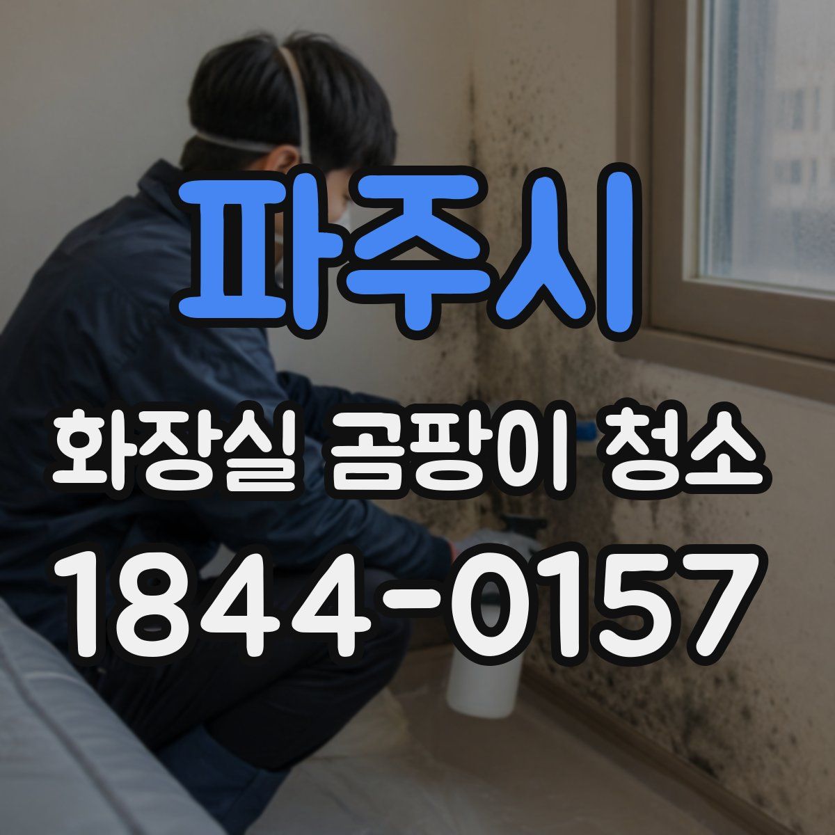 파주시 화장실 곰팡이 청소
