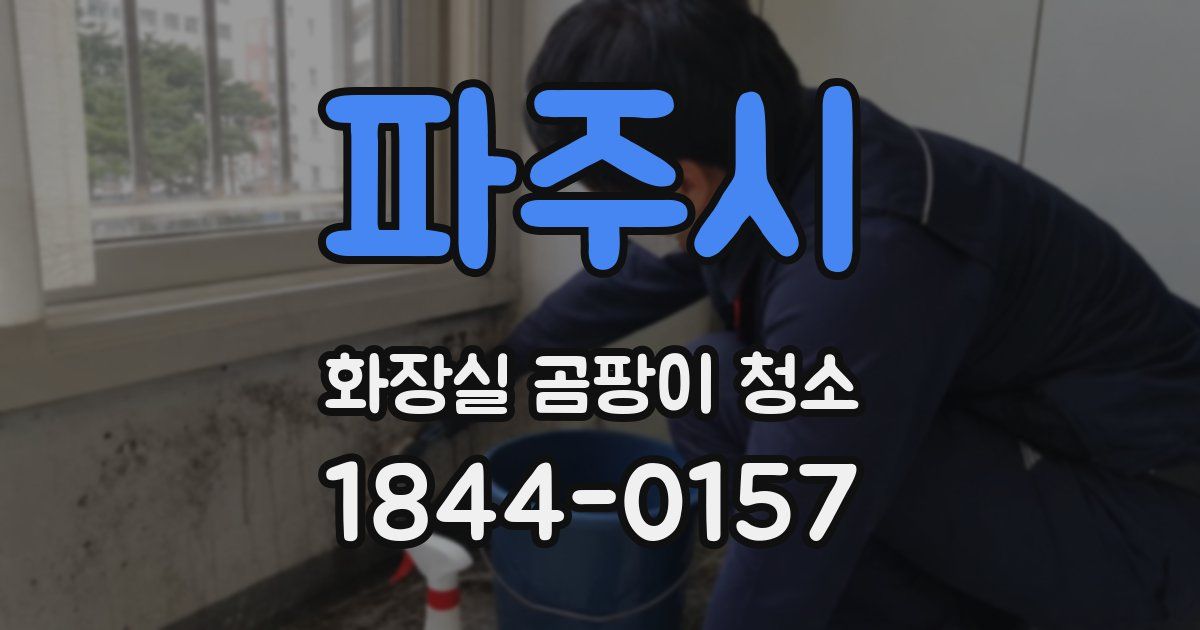 파주시 화장실 곰팡이 청소