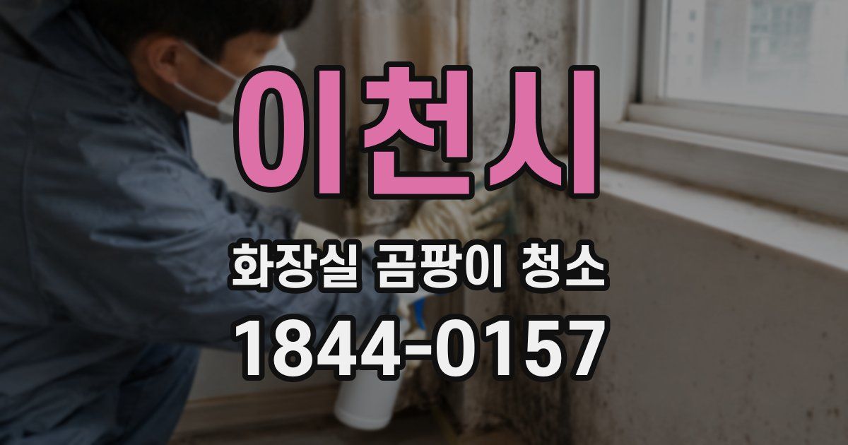 이천시 화장실 곰팡이 청소