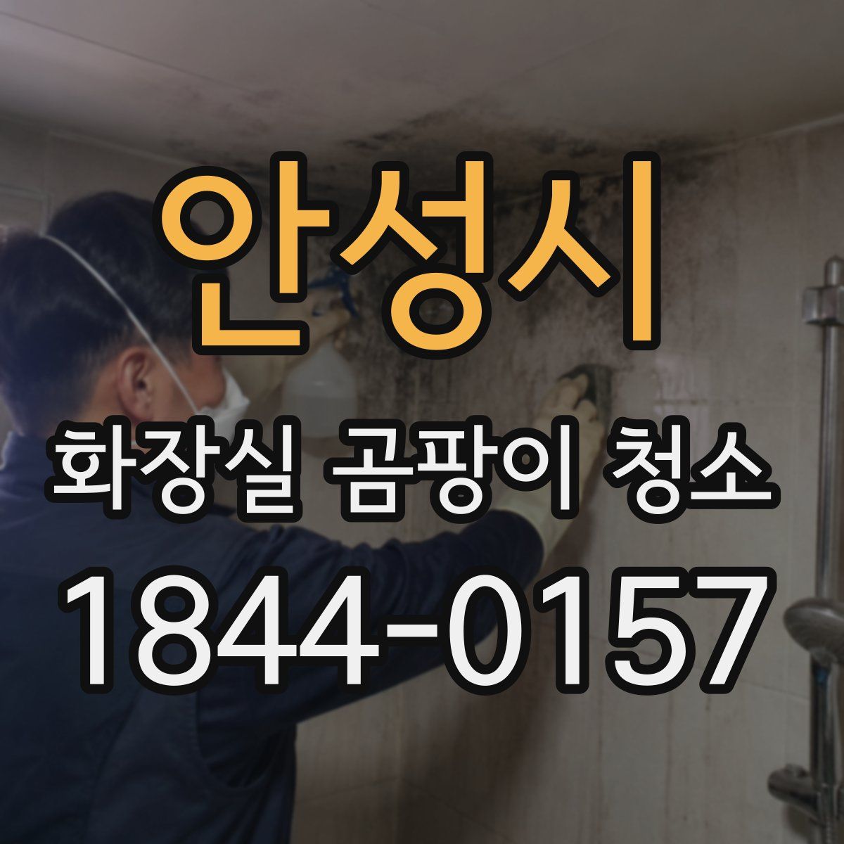 안성시 화장실 곰팡이 청소
