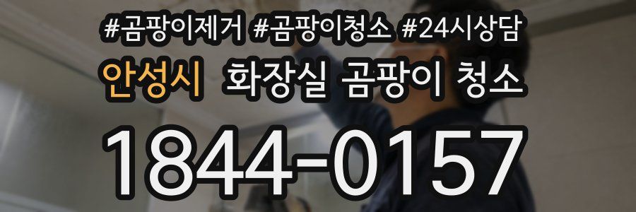 안성시 화장실 곰팡이 청소