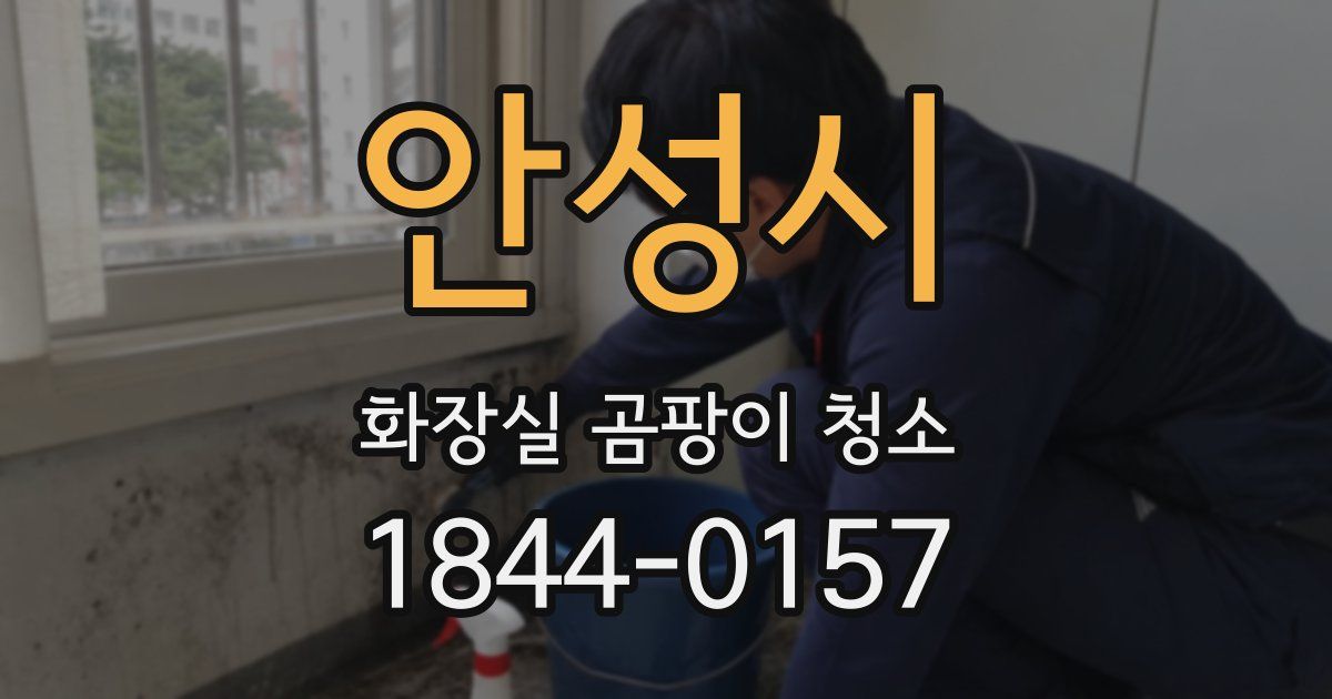 안성시 화장실 곰팡이 청소
