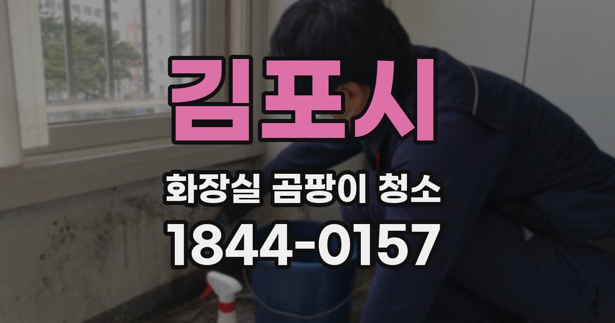 김포시 화장실 곰팡이 청소