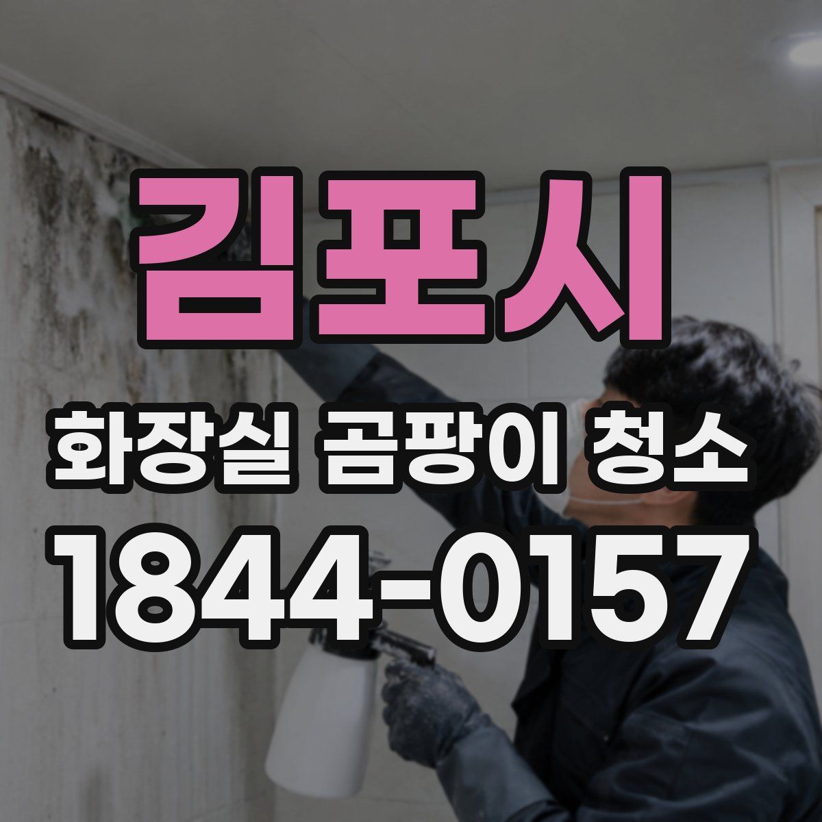 김포시 화장실 곰팡이 청소