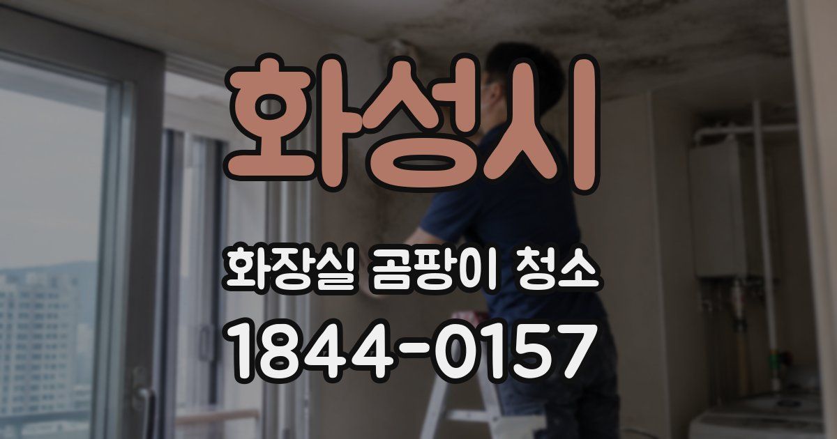 화성시 화장실 곰팡이 청소