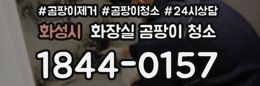 화성시 화장실 곰팡이 청소