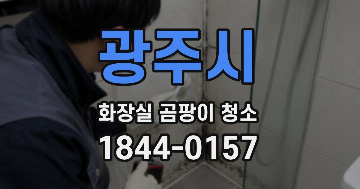 광주시 화장실 곰팡이 청소