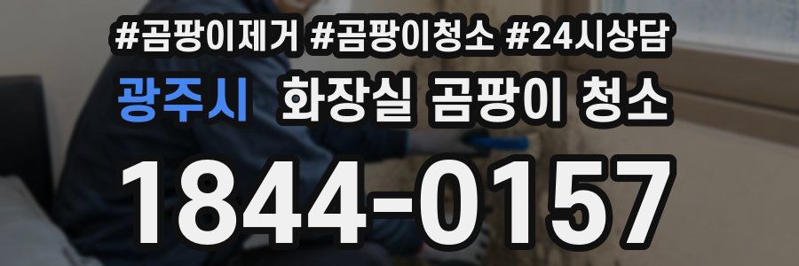 광주시 화장실 곰팡이 청소