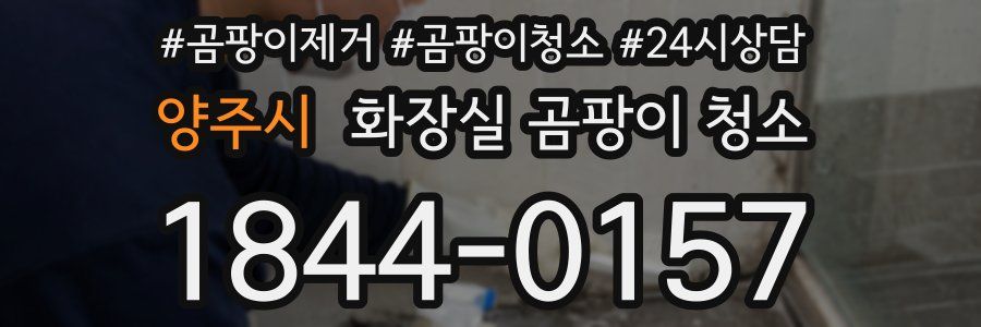 양주시 화장실 곰팡이 청소