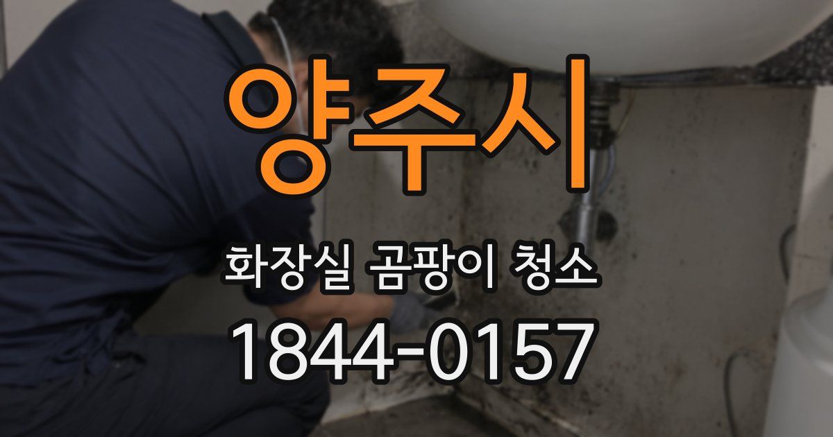 양주시 화장실 곰팡이 청소
