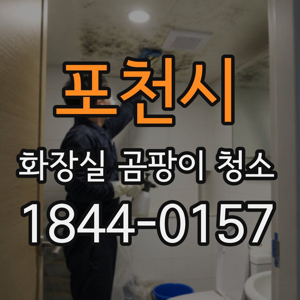 포천시 화장실 곰팡이 청소
