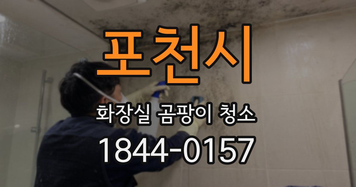 포천시 화장실 곰팡이 청소
