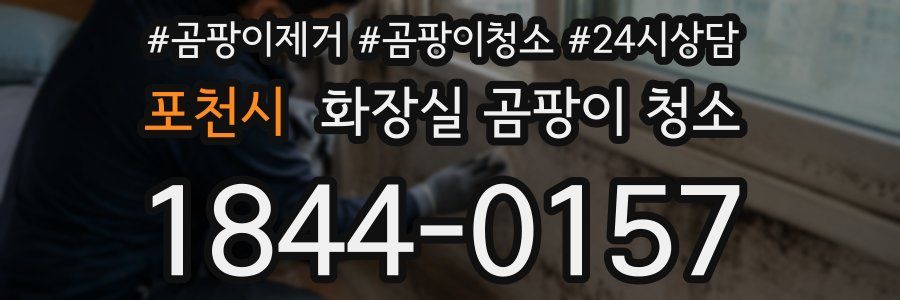 포천시 화장실 곰팡이 청소