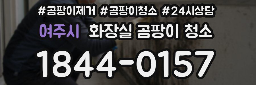 여주시 화장실 곰팡이 청소