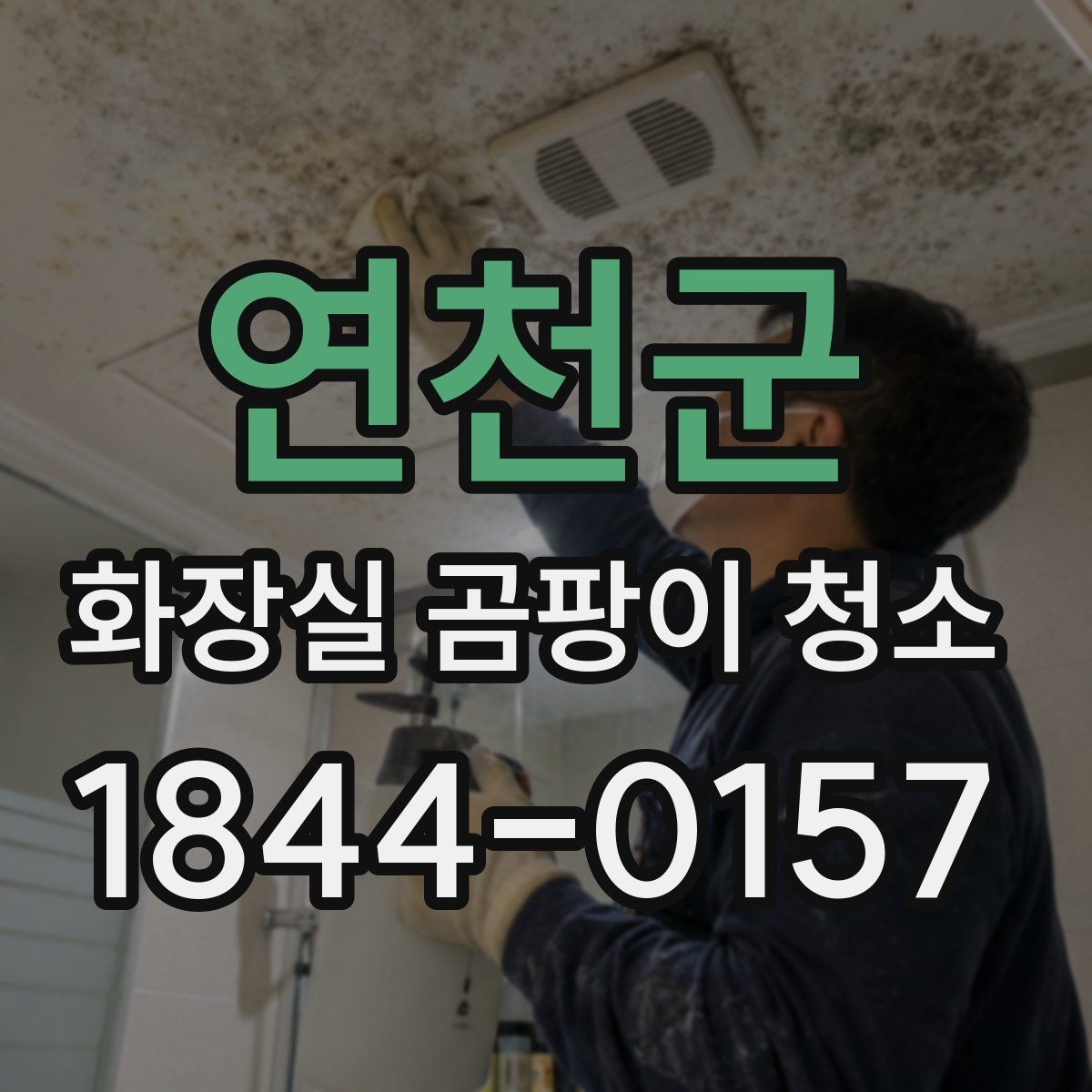 연천군 화장실 곰팡이 청소 곰팡이 제거 후 재발 줄이는 관리법