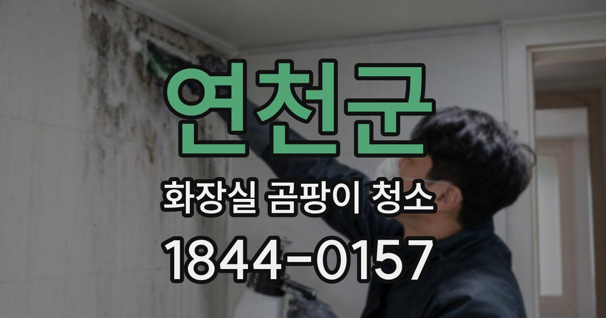 연천군 화장실 곰팡이 청소