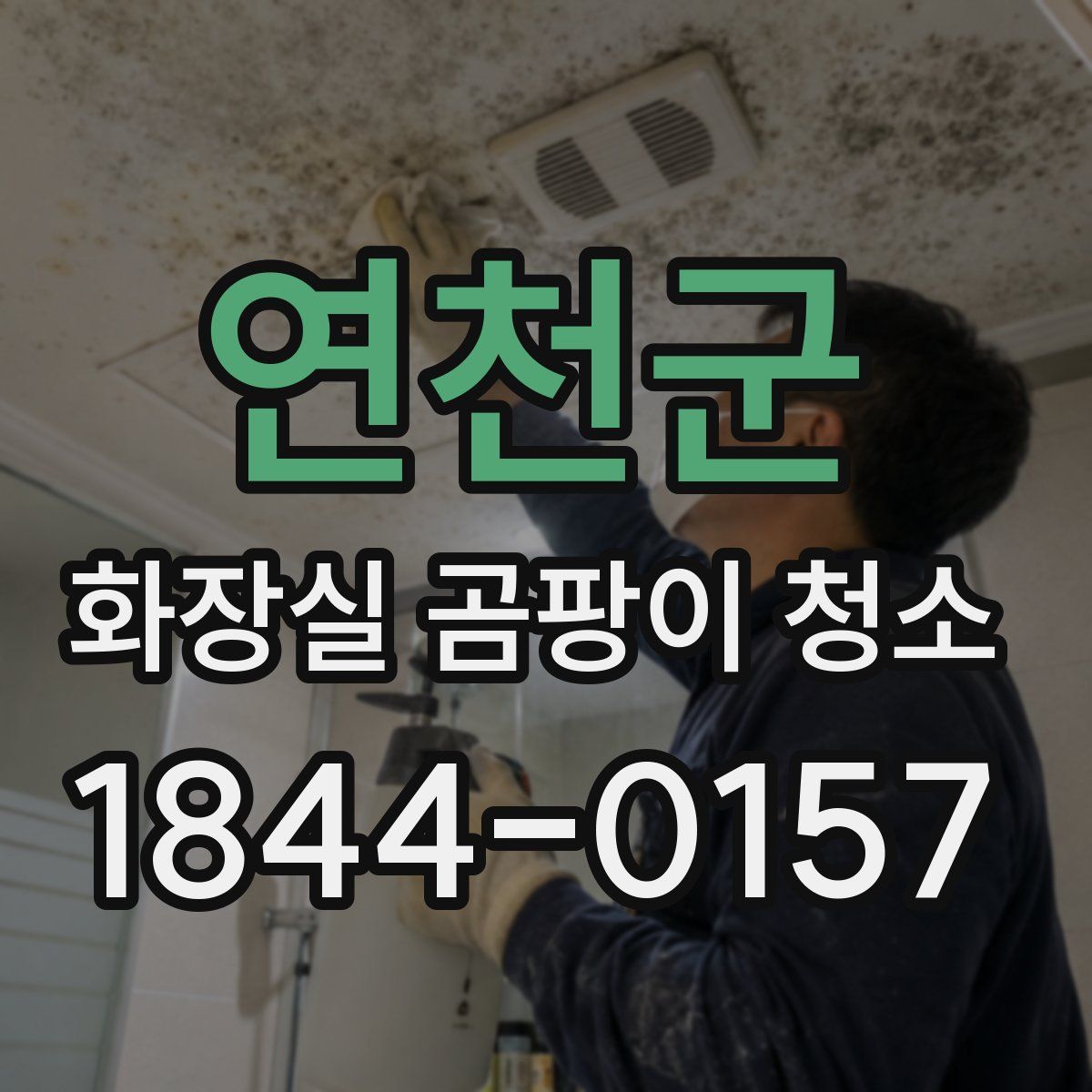 연천군 화장실 곰팡이 청소