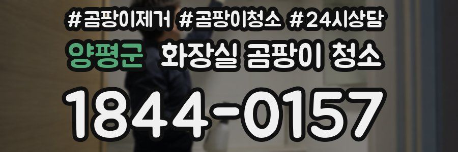 양평군 화장실 곰팡이 청소