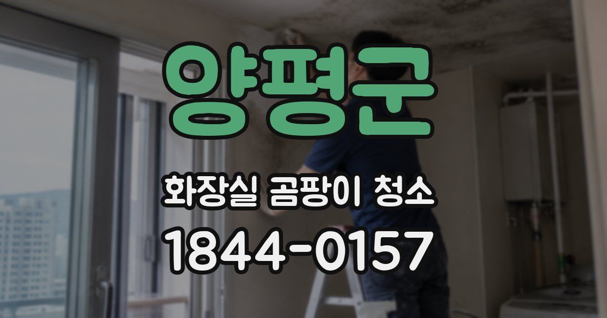 양평군 화장실 곰팡이 청소