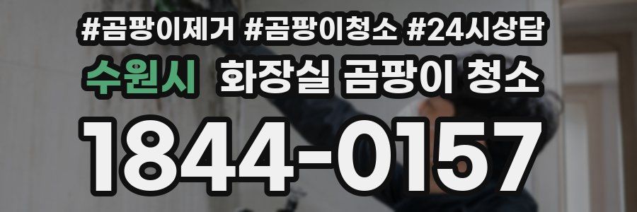 수원시 화장실 곰팡이 청소