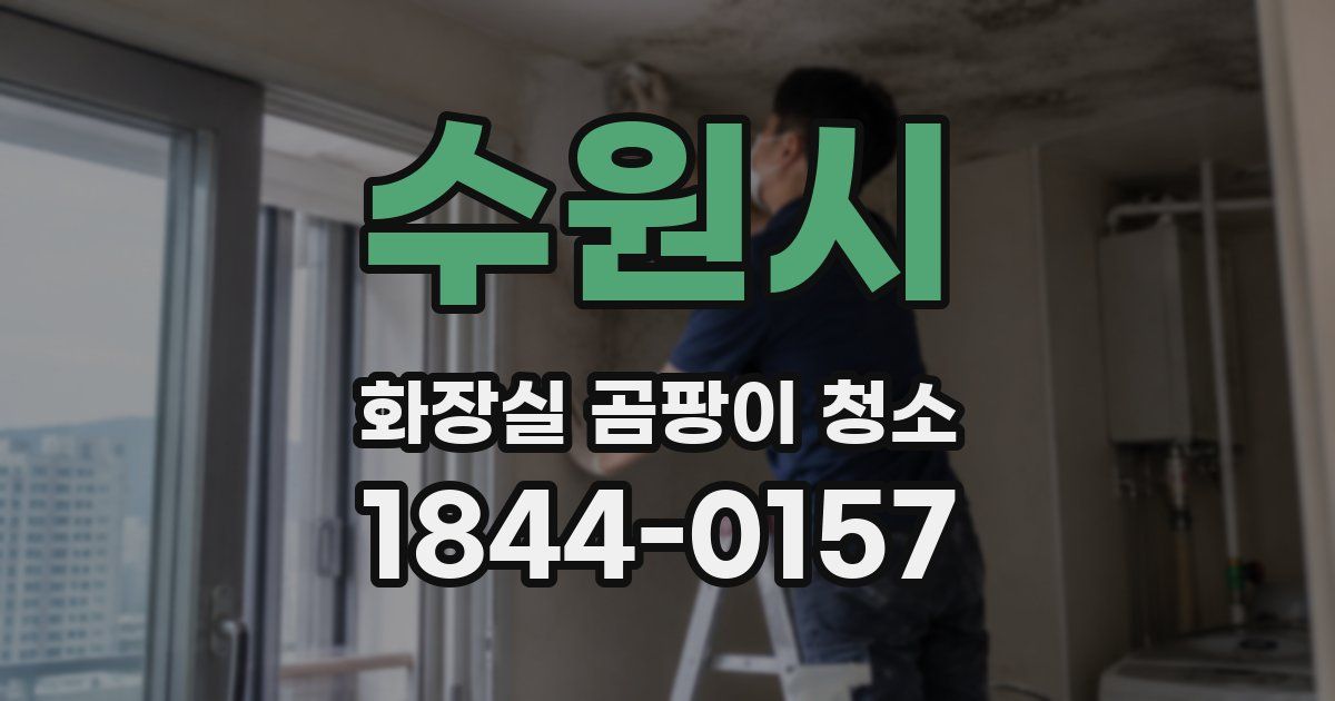 수원시 화장실 곰팡이 청소