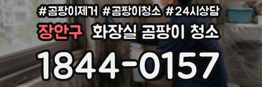 장안구 화장실 곰팡이 청소