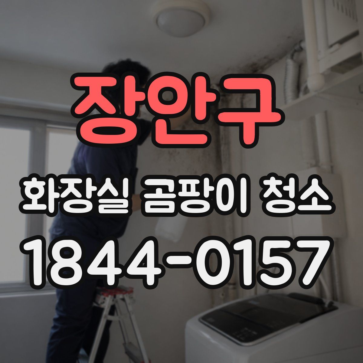 장안구 화장실 곰팡이 청소
