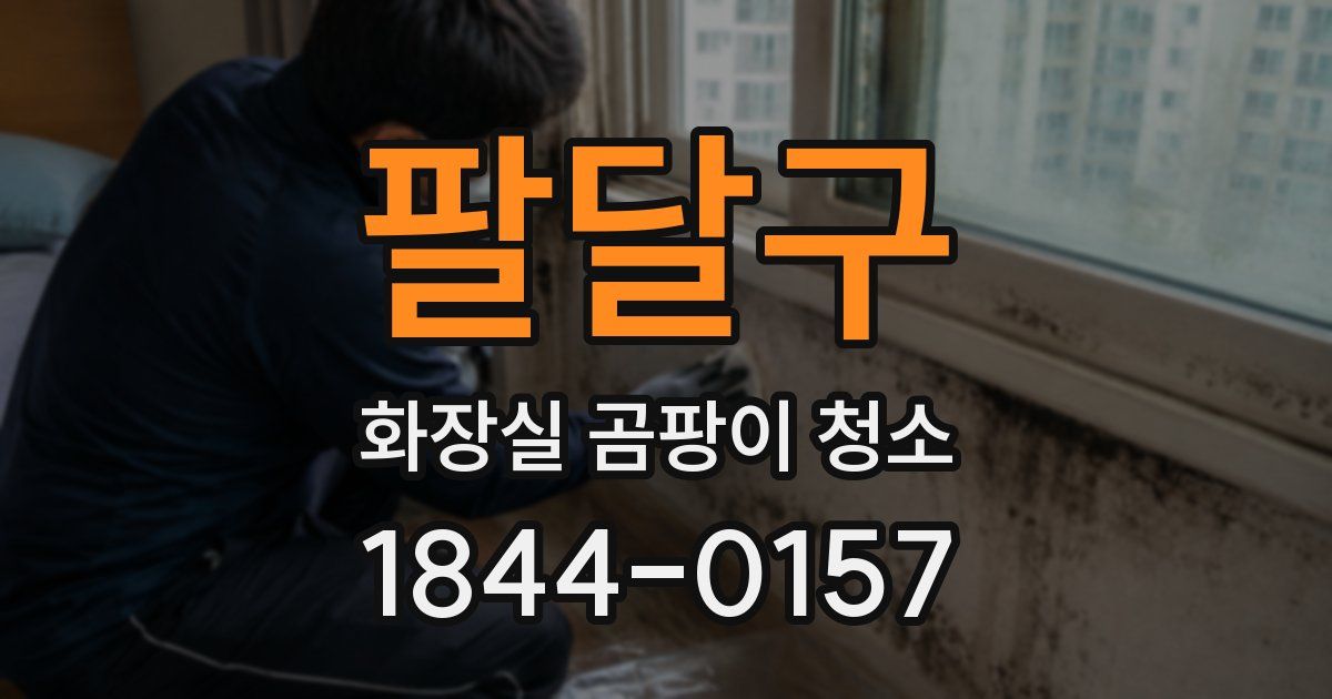 팔달구 화장실 곰팡이 청소