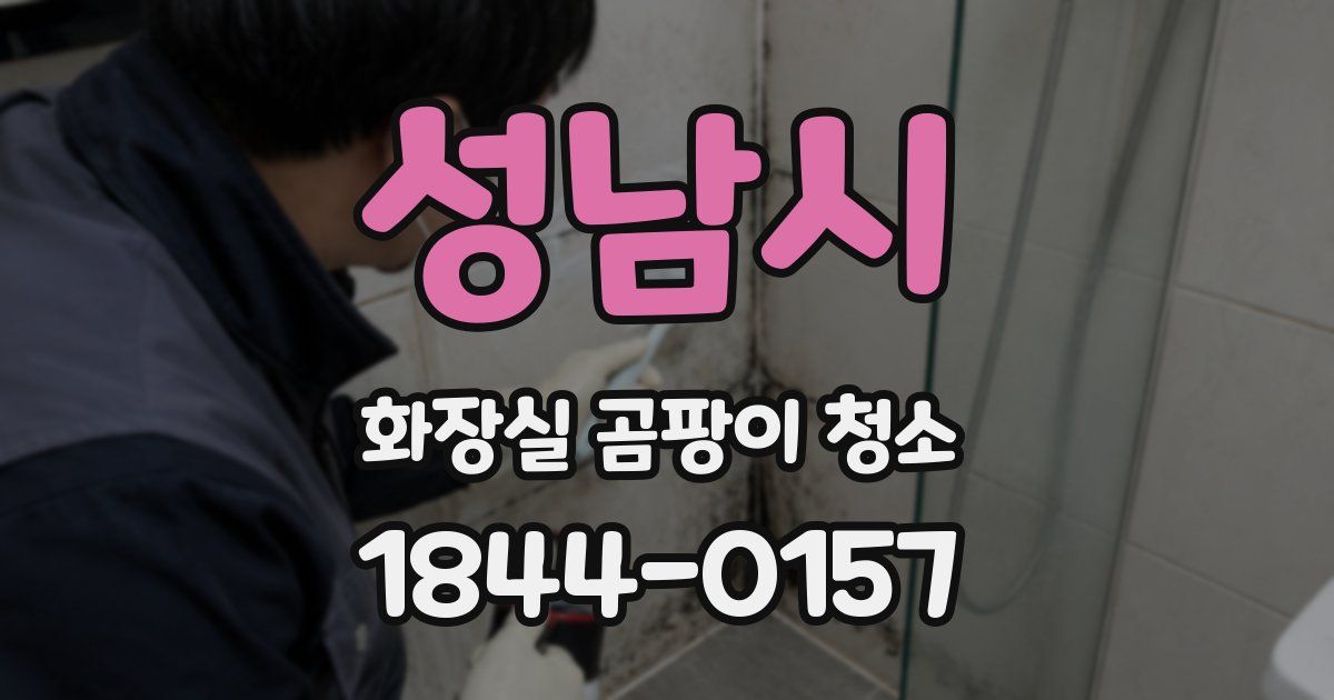 성남시 화장실 곰팡이 청소