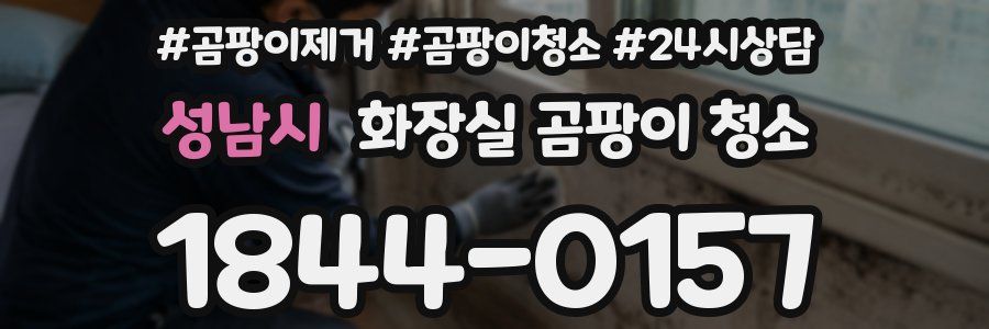 성남시 화장실 곰팡이 청소