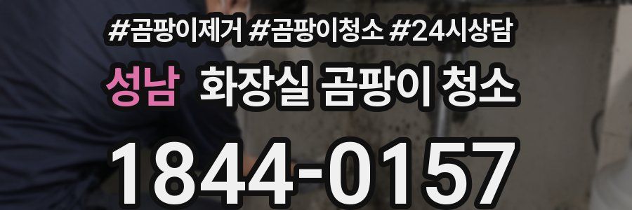 성남 화장실 곰팡이 청소
