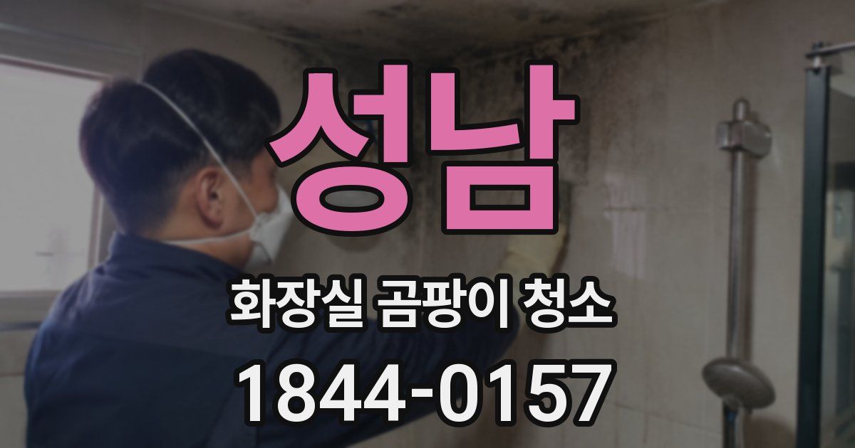 성남 화장실 곰팡이 청소