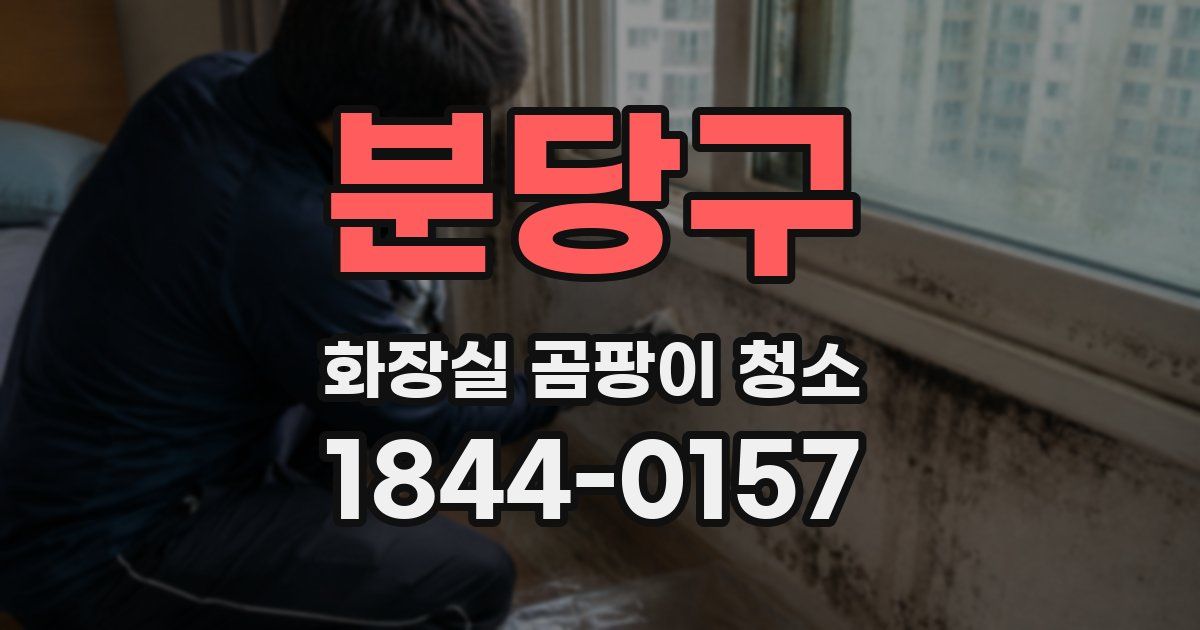 분당구 화장실 곰팡이 청소