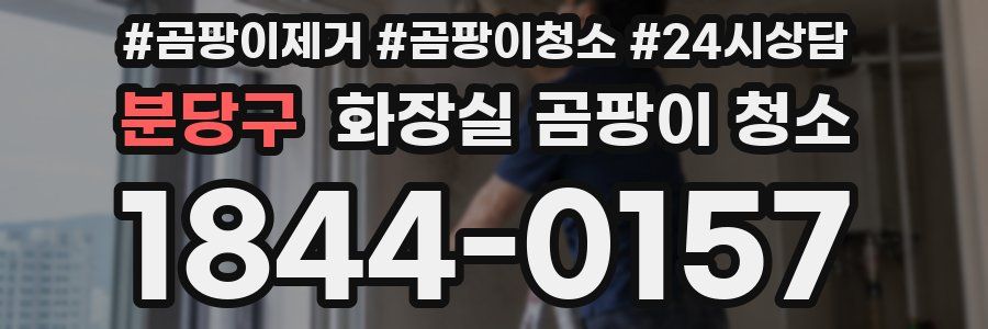 분당구 화장실 곰팡이 청소