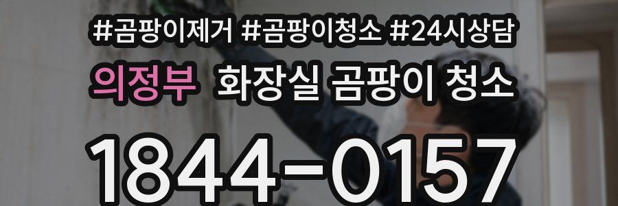 의정부 화장실 곰팡이 청소
