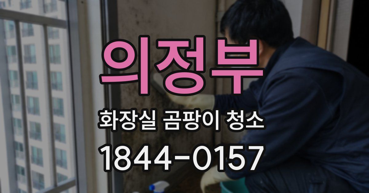 의정부 화장실 곰팡이 청소